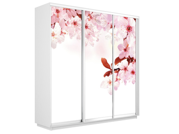 Шкаф-купе Экспресс 3-х дверный (Фото №1023 Сакура)
