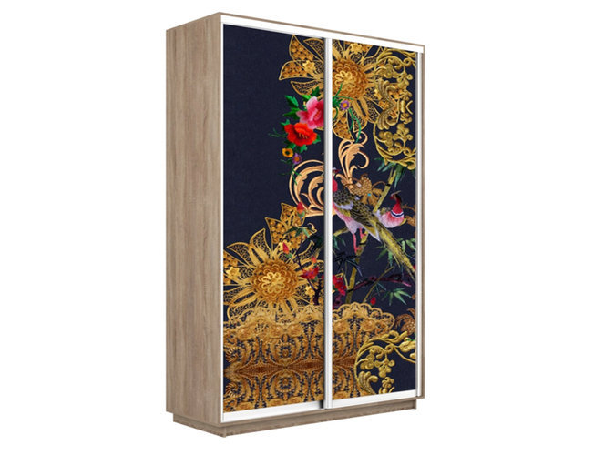 Шкаф-купе Экспресс 2-х дверный (Фото №1013 Золотой орнамент), Сонома