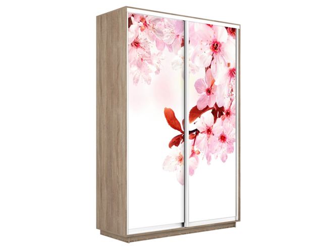Шкаф-купе Экспресс 2-х дверный (Фото №1023 Сакура), Сонома